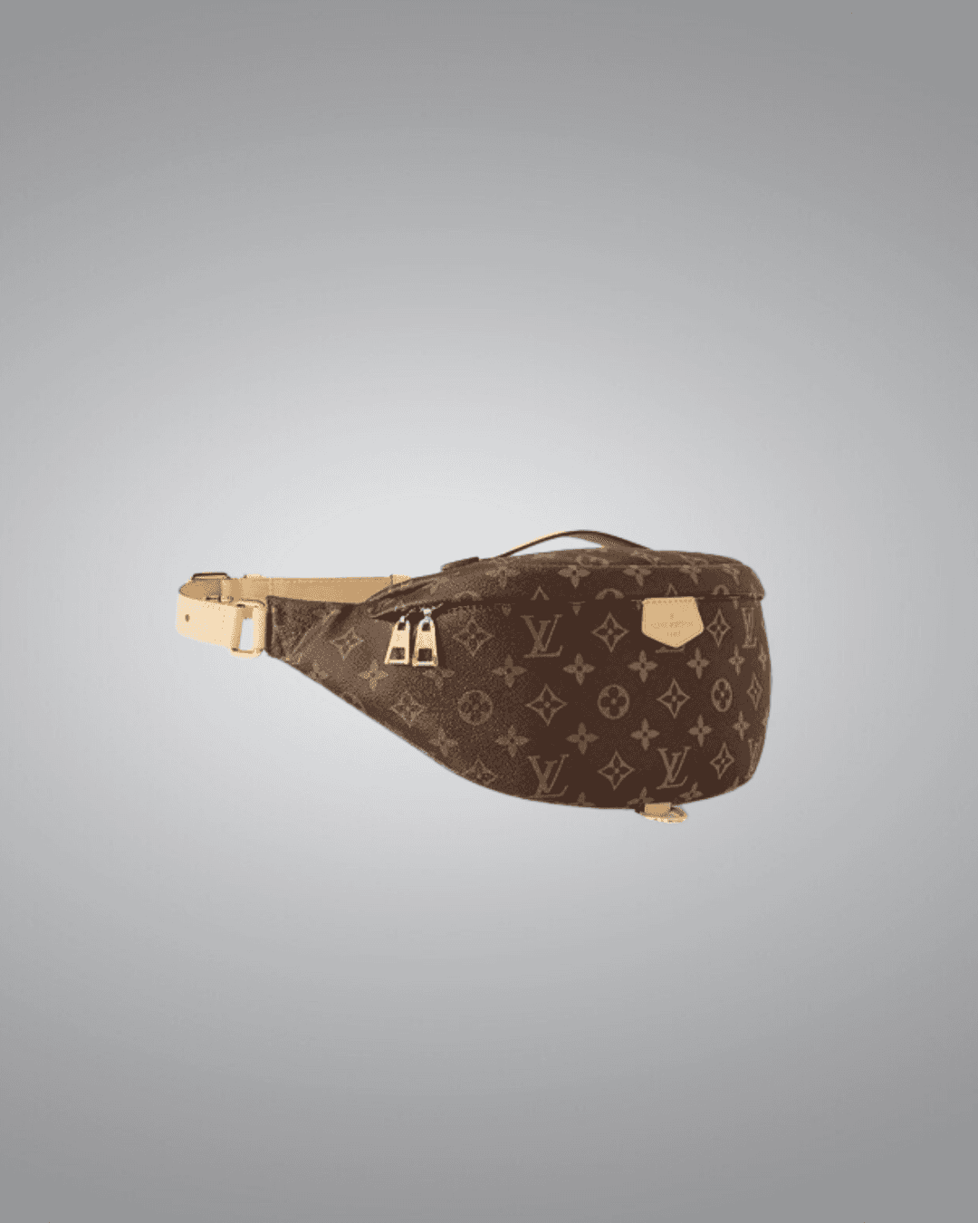 LV Bumbag in Monogram Canvas