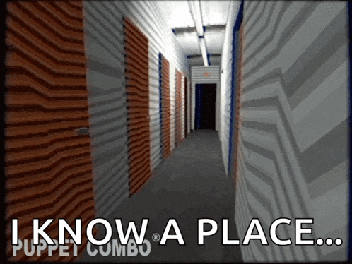 Puppet Combo VHS Horror