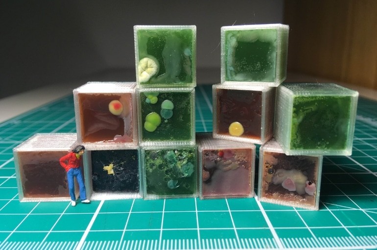 MouldCraft