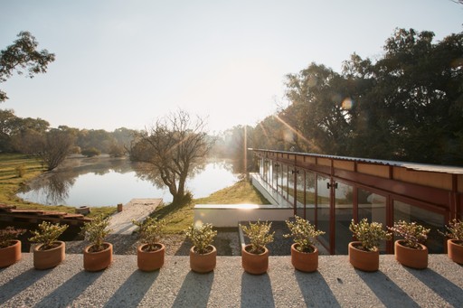Paisaje natural con árboles y luz de niebla matutina en los terrenos de Cobertizo, Jilotepec