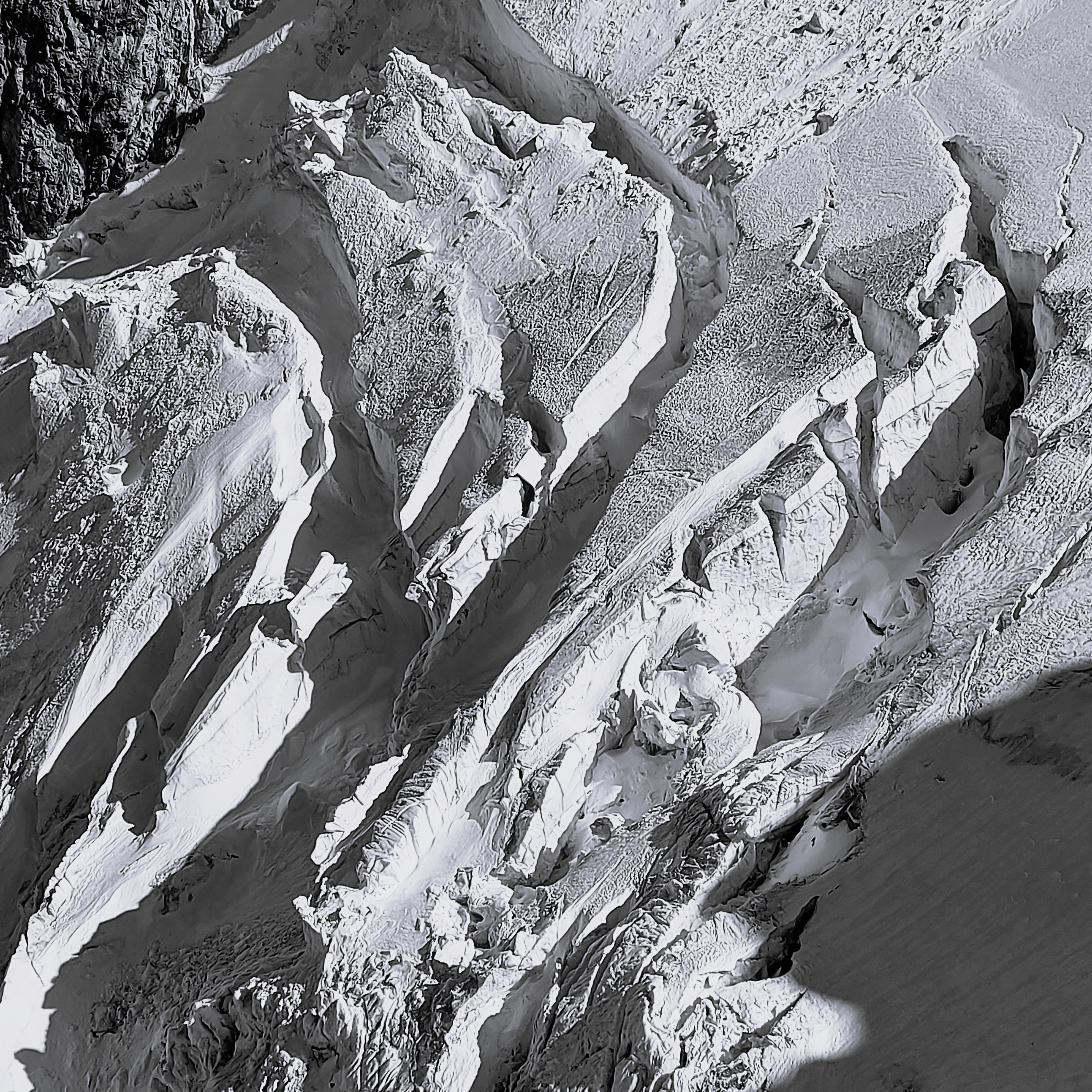 Concetrated triathlete grayscale