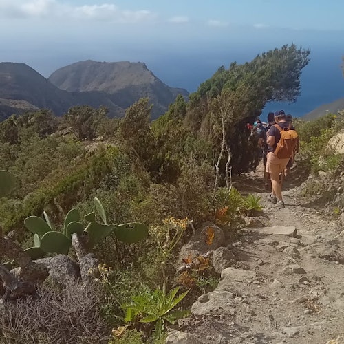 Parque Rural de Anaga: Bilhetes para Caminhada Guiada a partir de Cruz del Carmen + Degustação de Comida em San Cristóbal De La Laguna