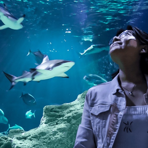 Michin Aquarium Guadalajara