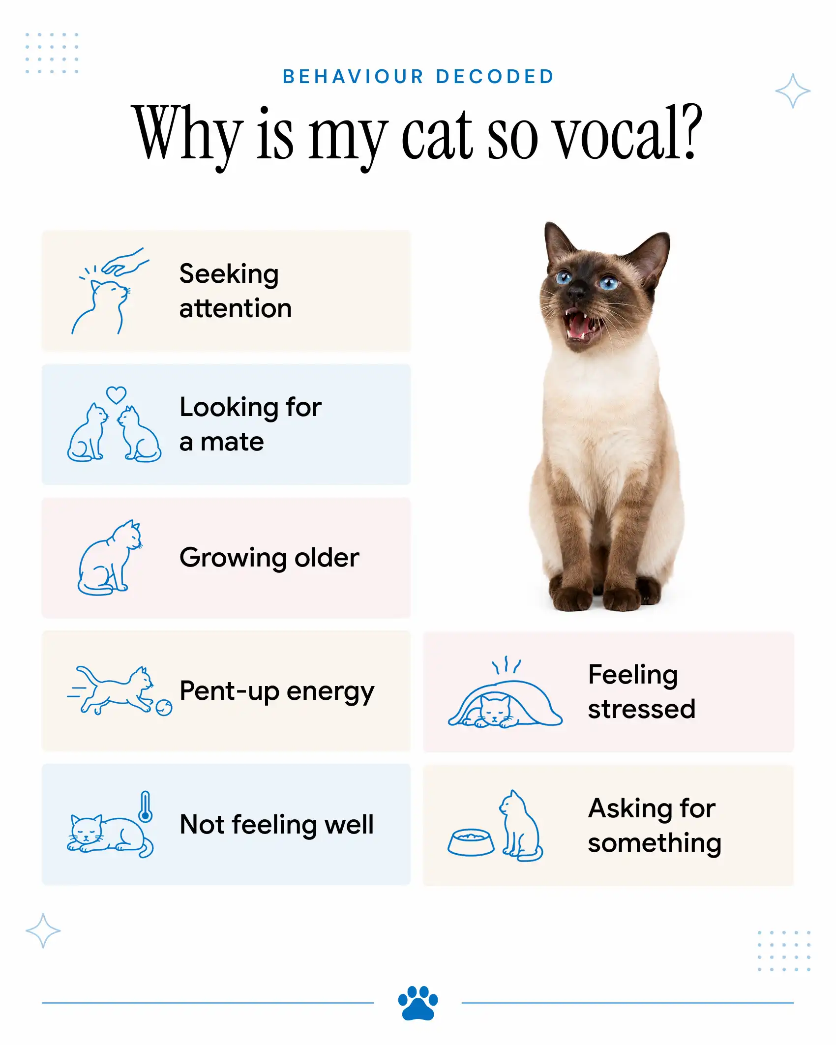 An infographic showing the common reasons why your cat is meowing so much, including asking for something, feeling stressed, and not feeling well.