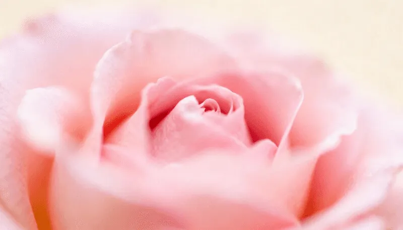 Card Background Image