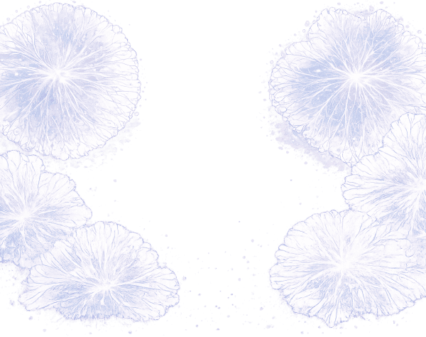 guided breathwork