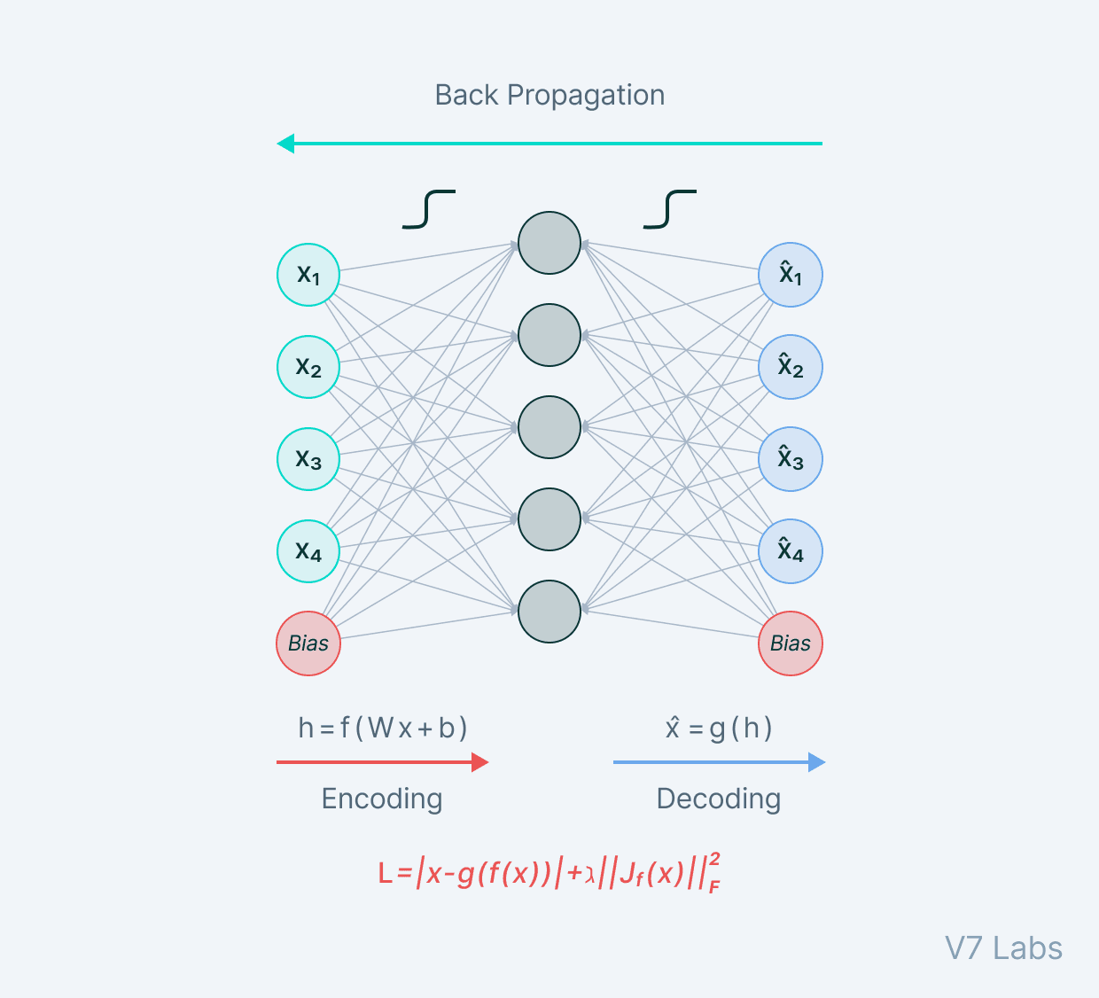 Contractive autoencoder