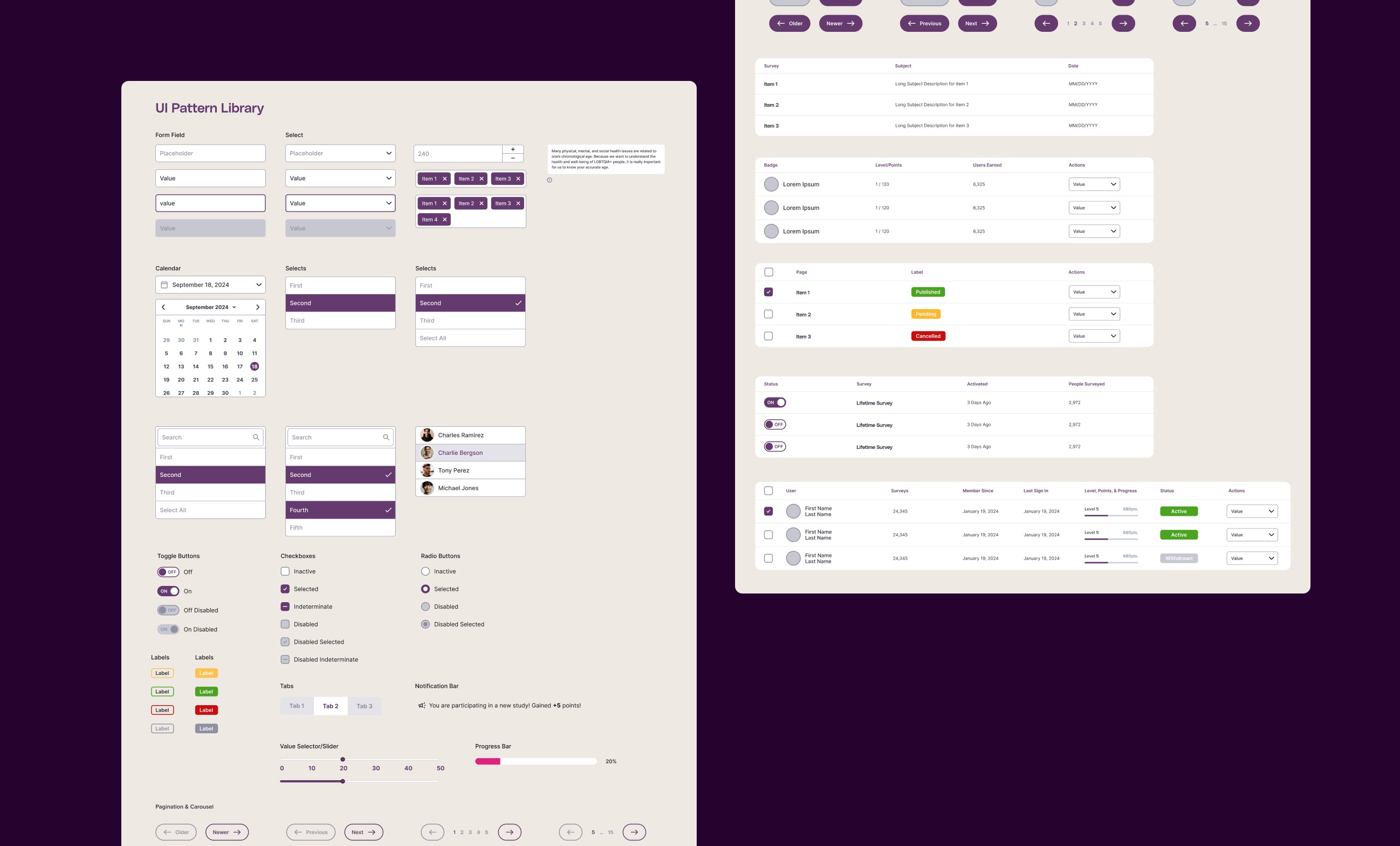 Large Project Gallery Image #3