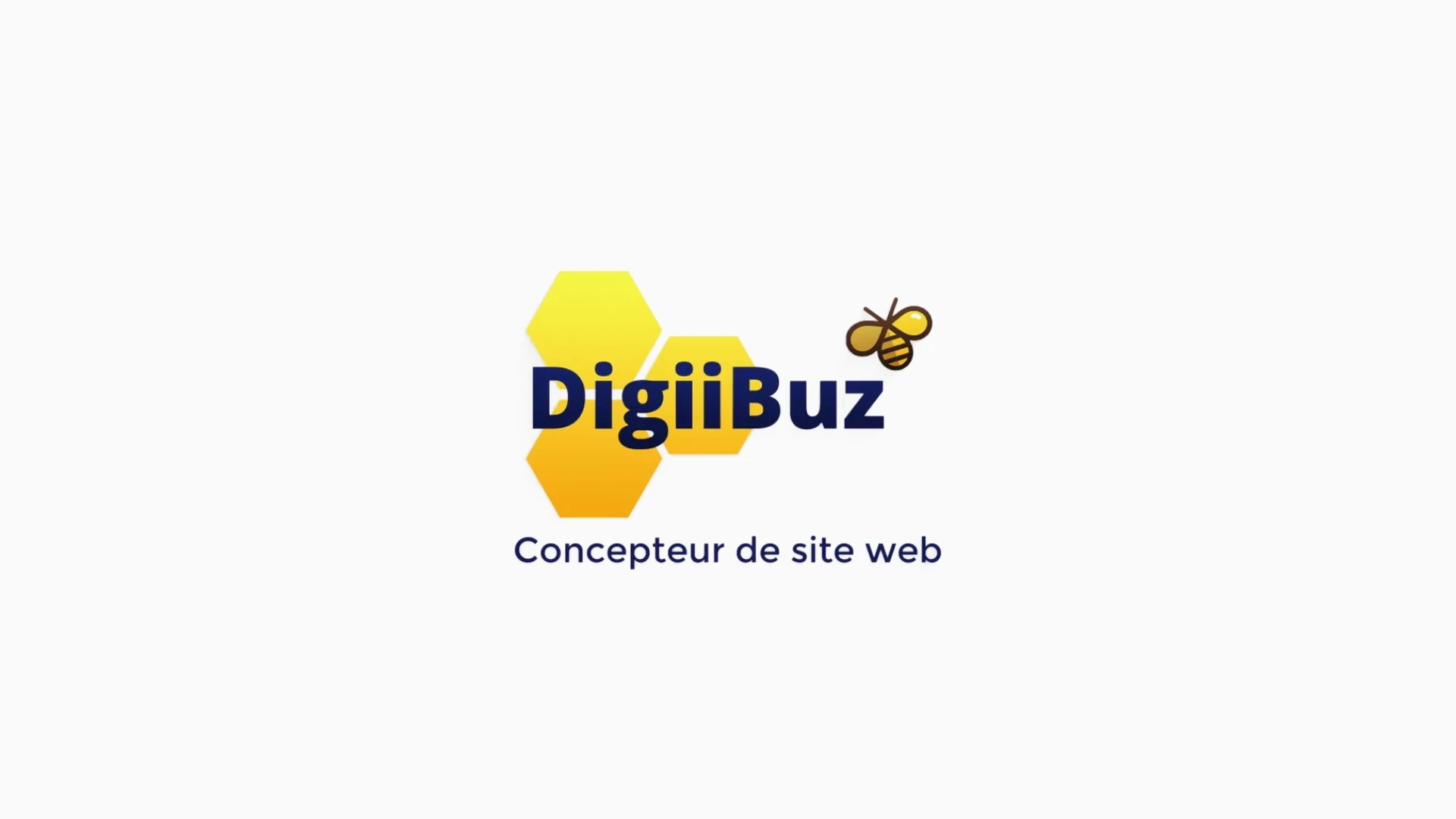 Vidéo Digiibuz