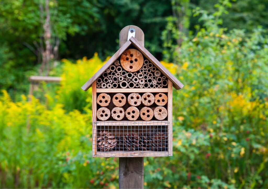 Jardín biodiverso con flores para abejas