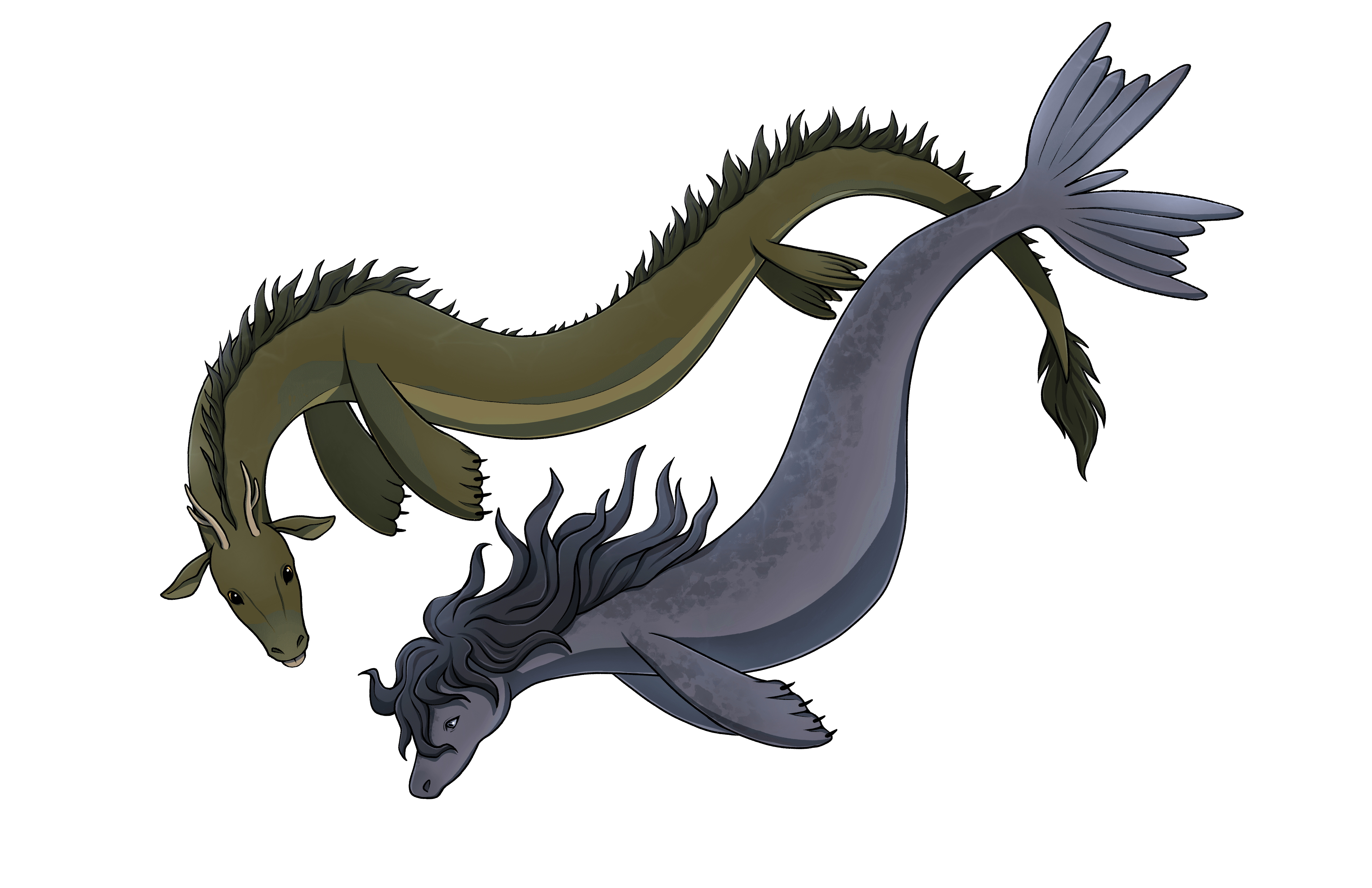 Isolated illustration of the Ogopogo and cadborosaurus