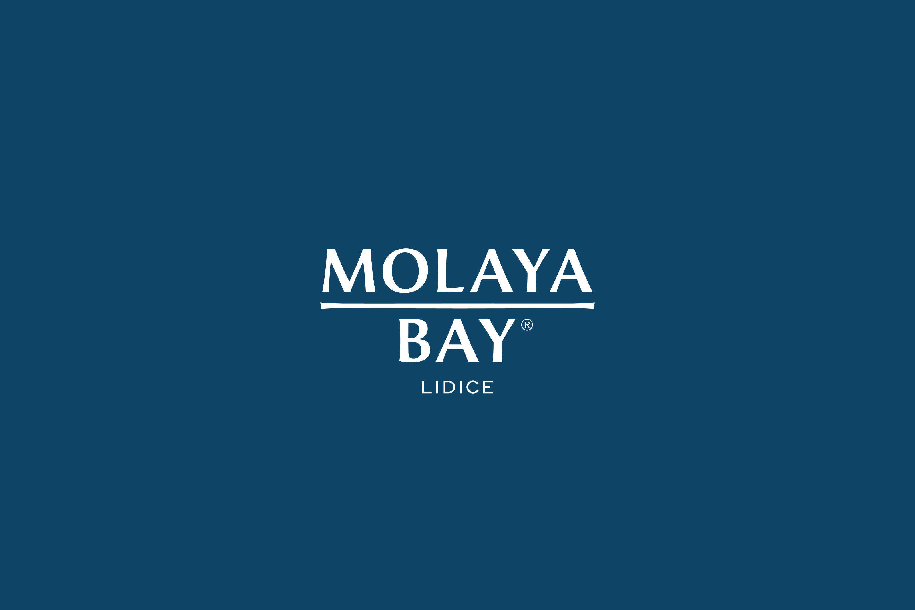 Molaya Bay Lidice wordmark on a teal background.