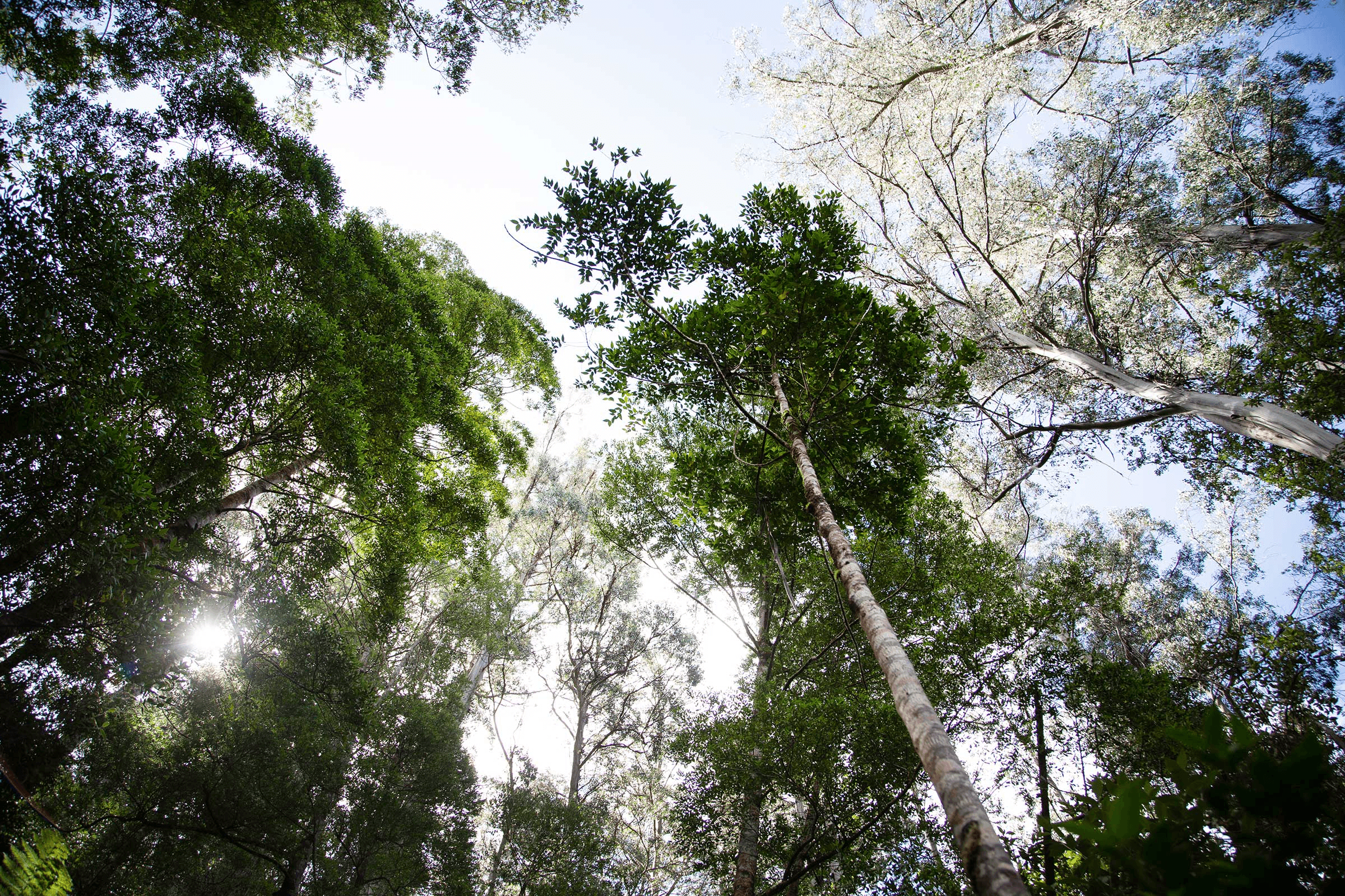 Celebrating Australian artisanship and collaboration: An interview with designer Tom Fereday.