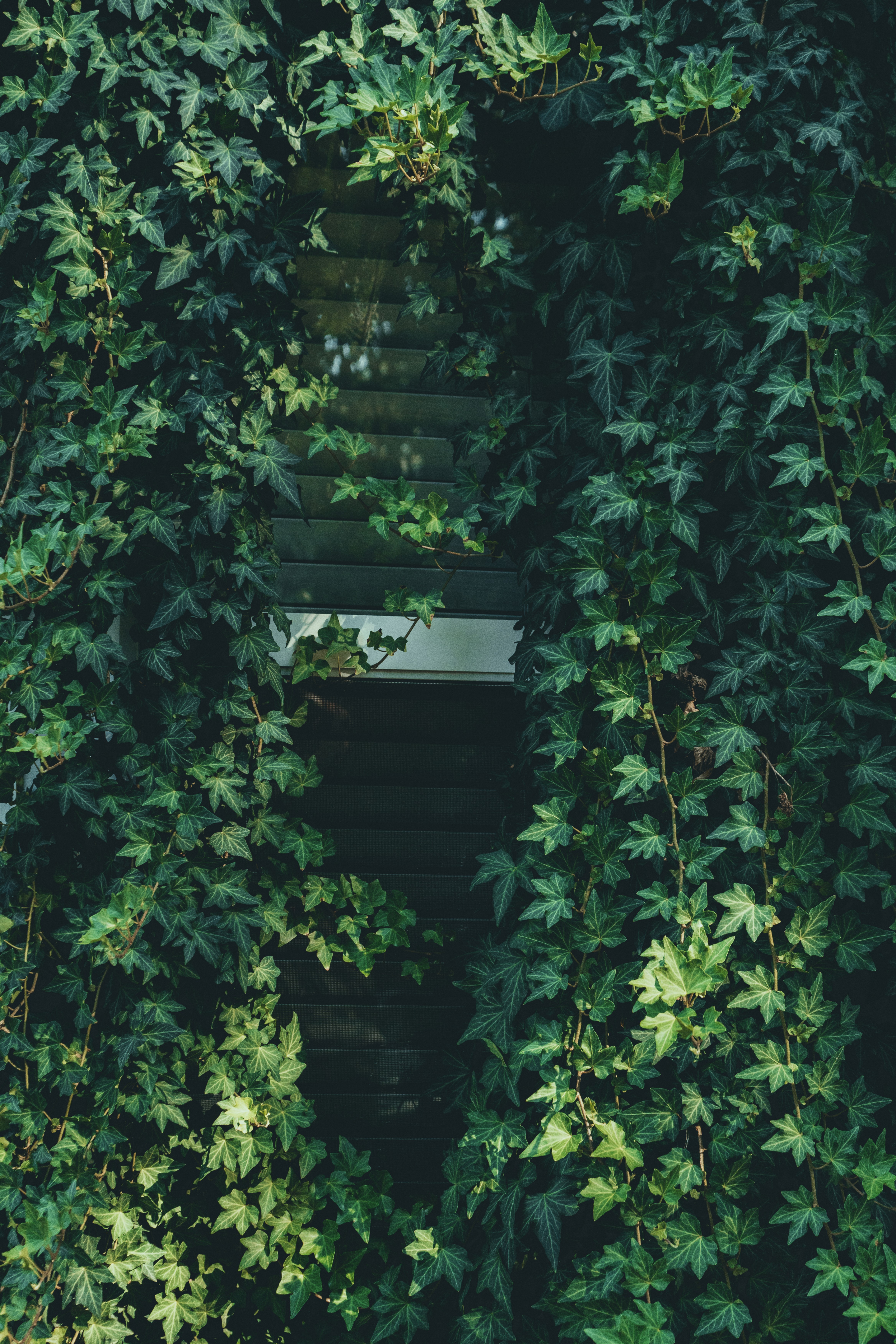 low angle photography of building