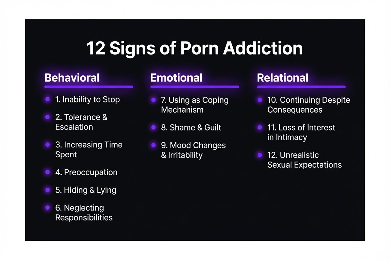 Infographic showing the 12 signs of porn addiction organized into three categories: behavioral signs, emotional signs, relational signs