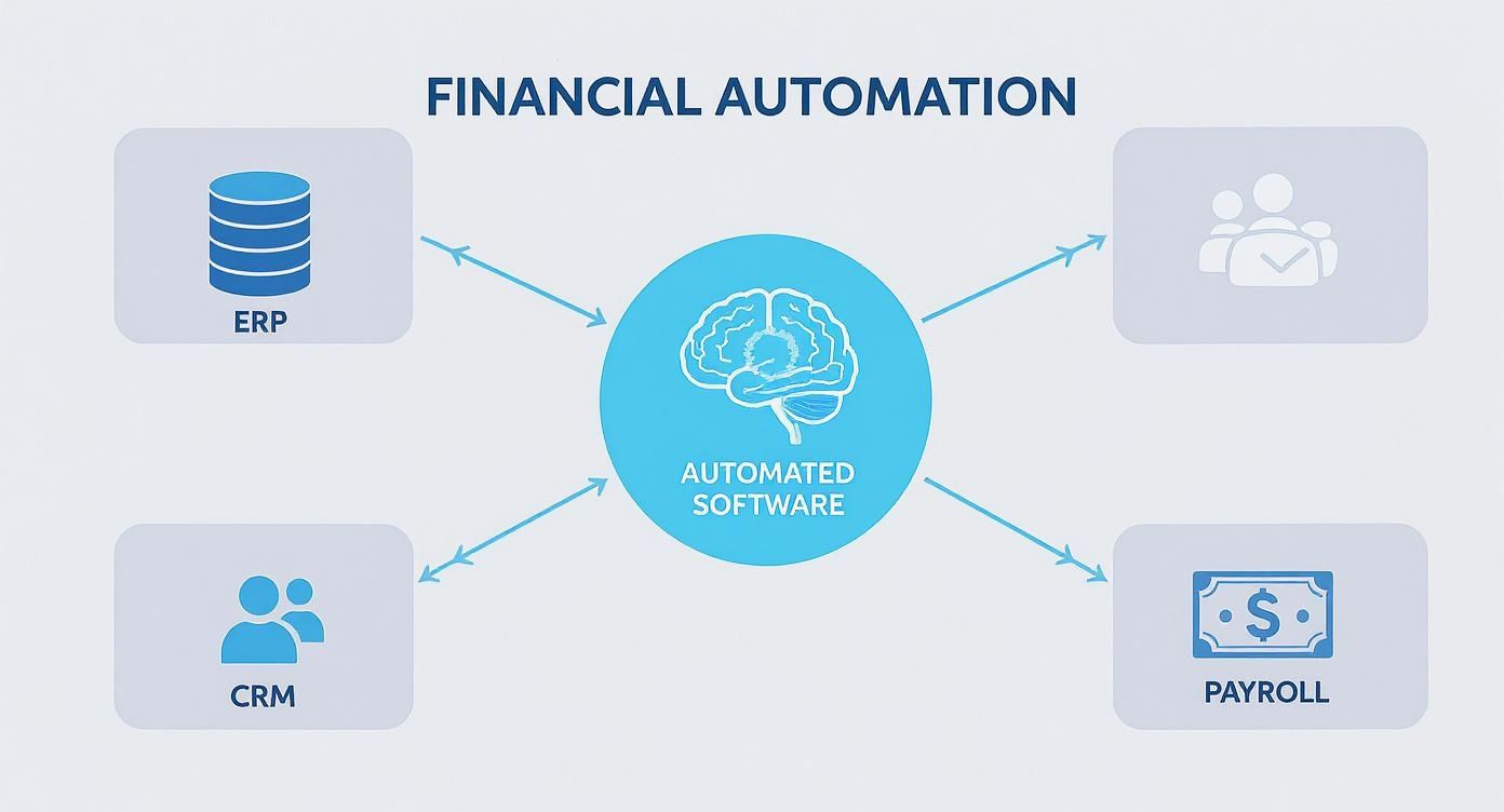 Infographic about automated financial reporting software