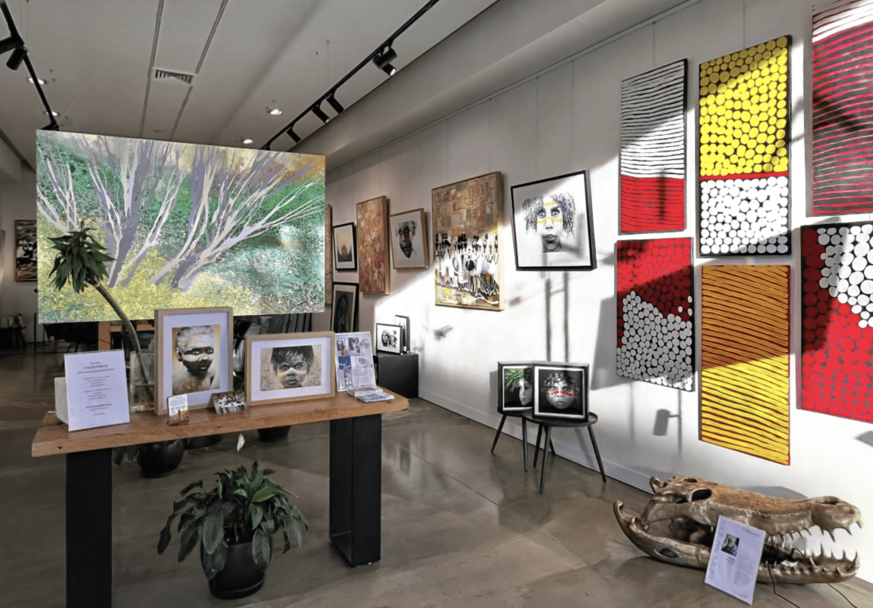 Lionia Gallery