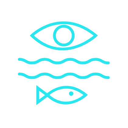 TMT Traccking Oceans Icon