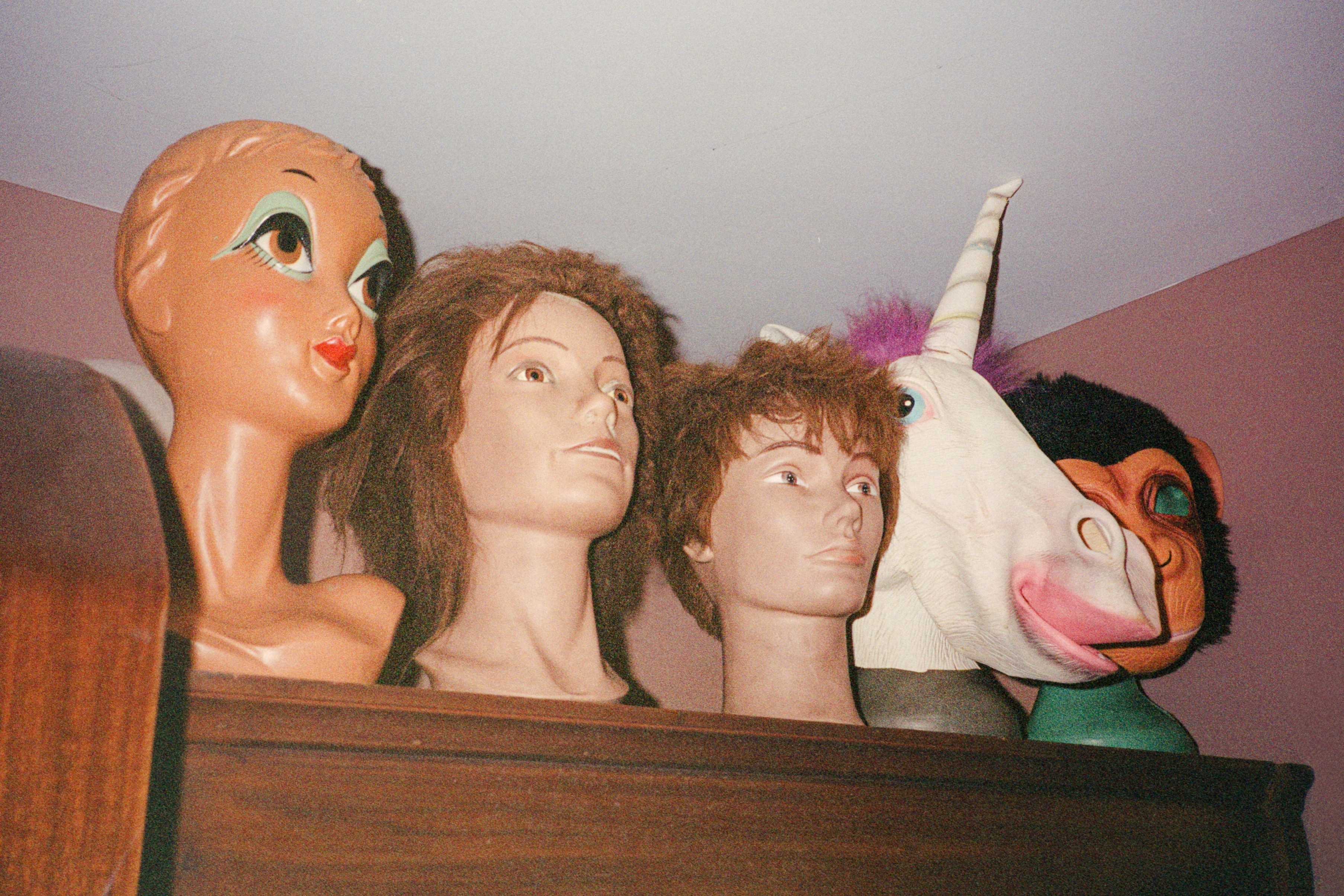 Mannequin heads and costume masks, including a vintage female mannequin, two male mannequins with wigs, a unicorn head, and a chimpanzee mask, displayed on a wooden shelf against a pink wall.