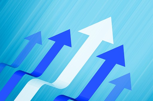 Guided by leaders with extensive industry experience