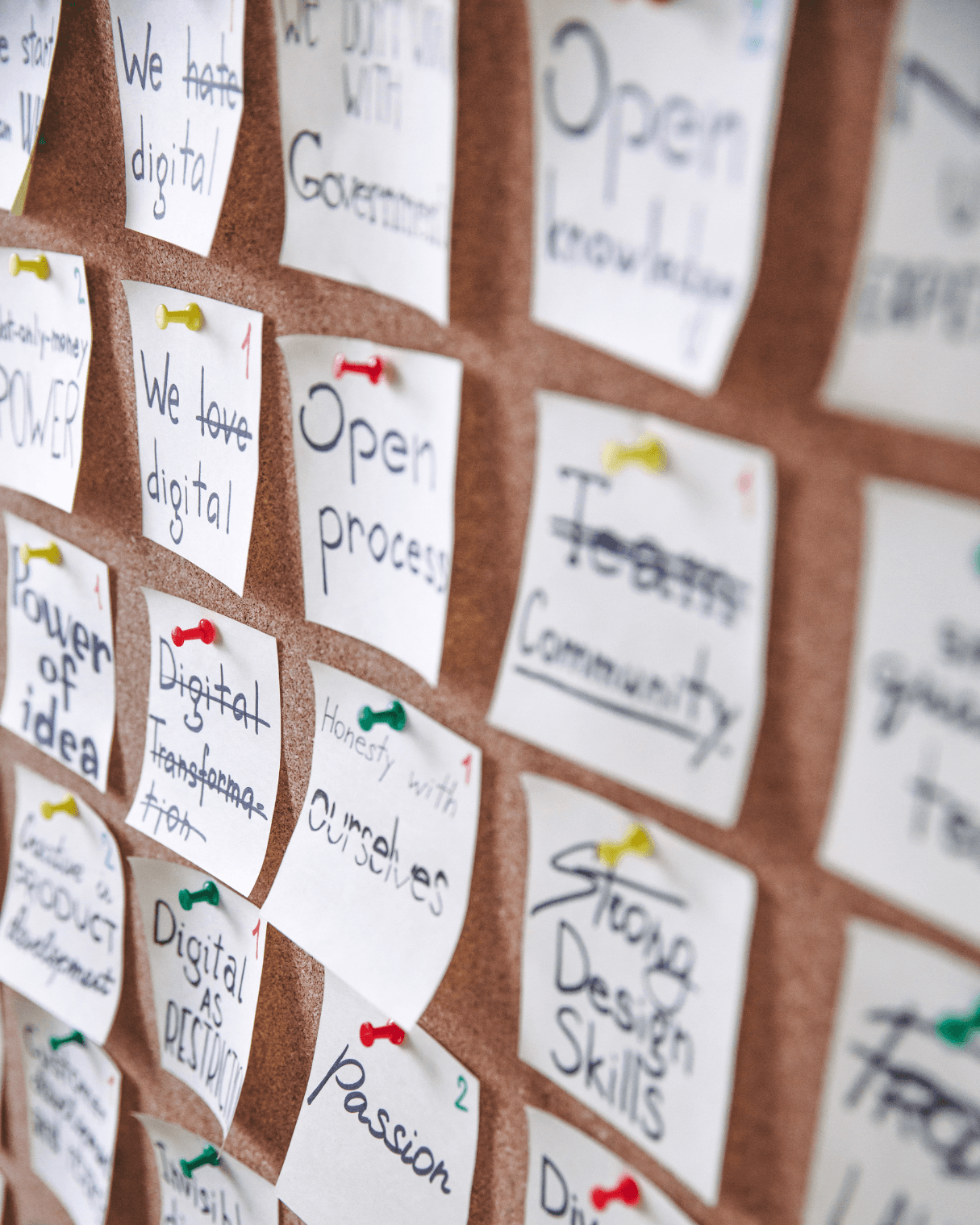 Portrait of portfolio creator – back view