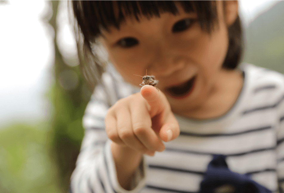 A child enjoying the wonder of nature as an insect lands on its finger