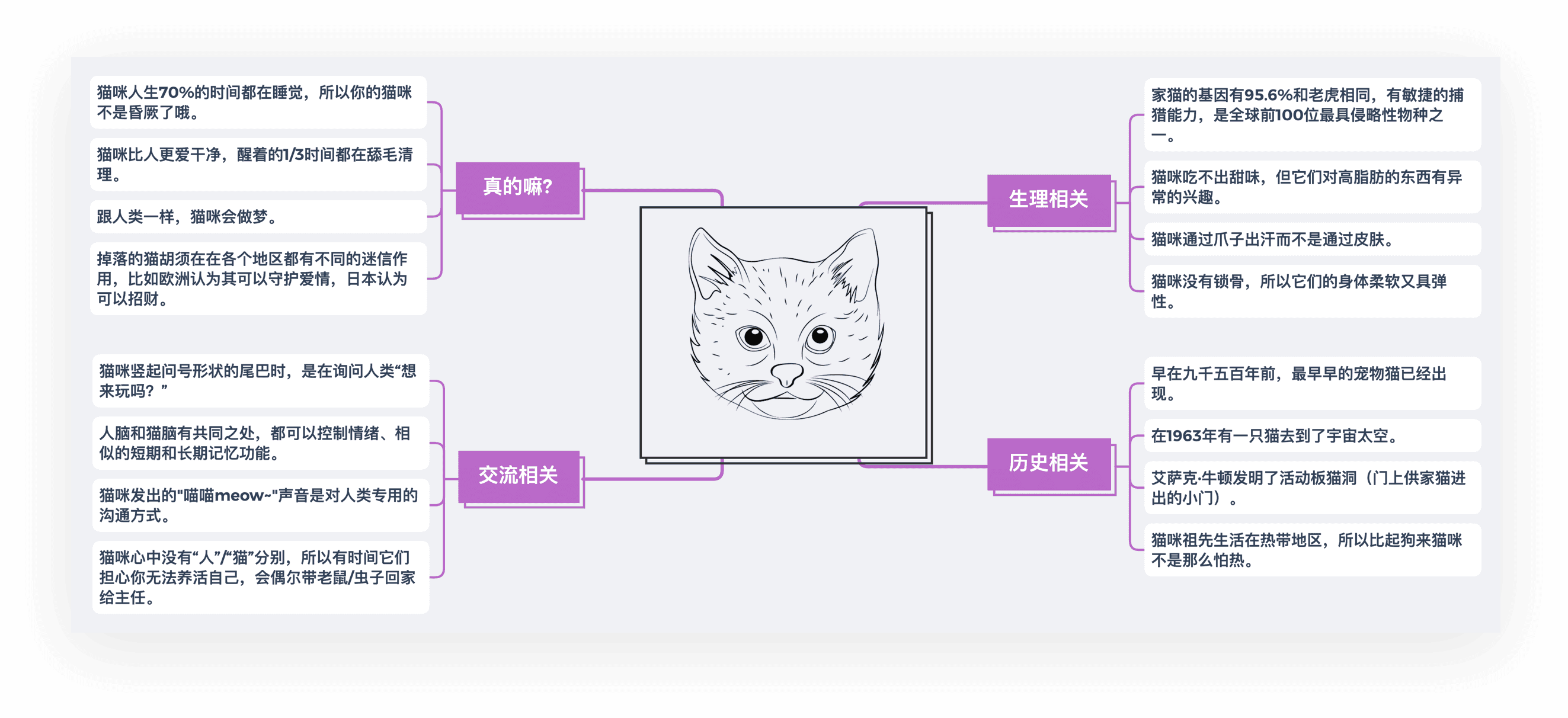 猫咪相关知识导图