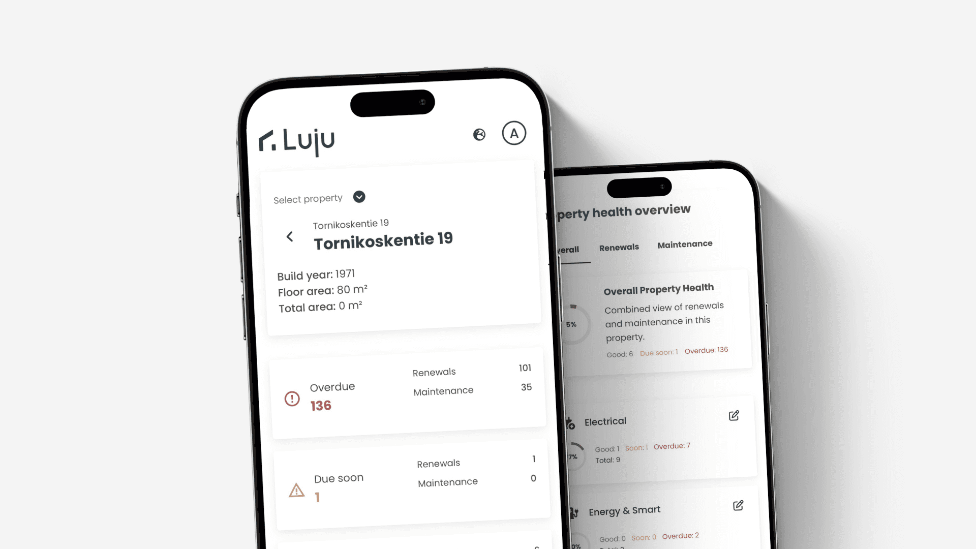 Young woman holding credit card and smartphone.