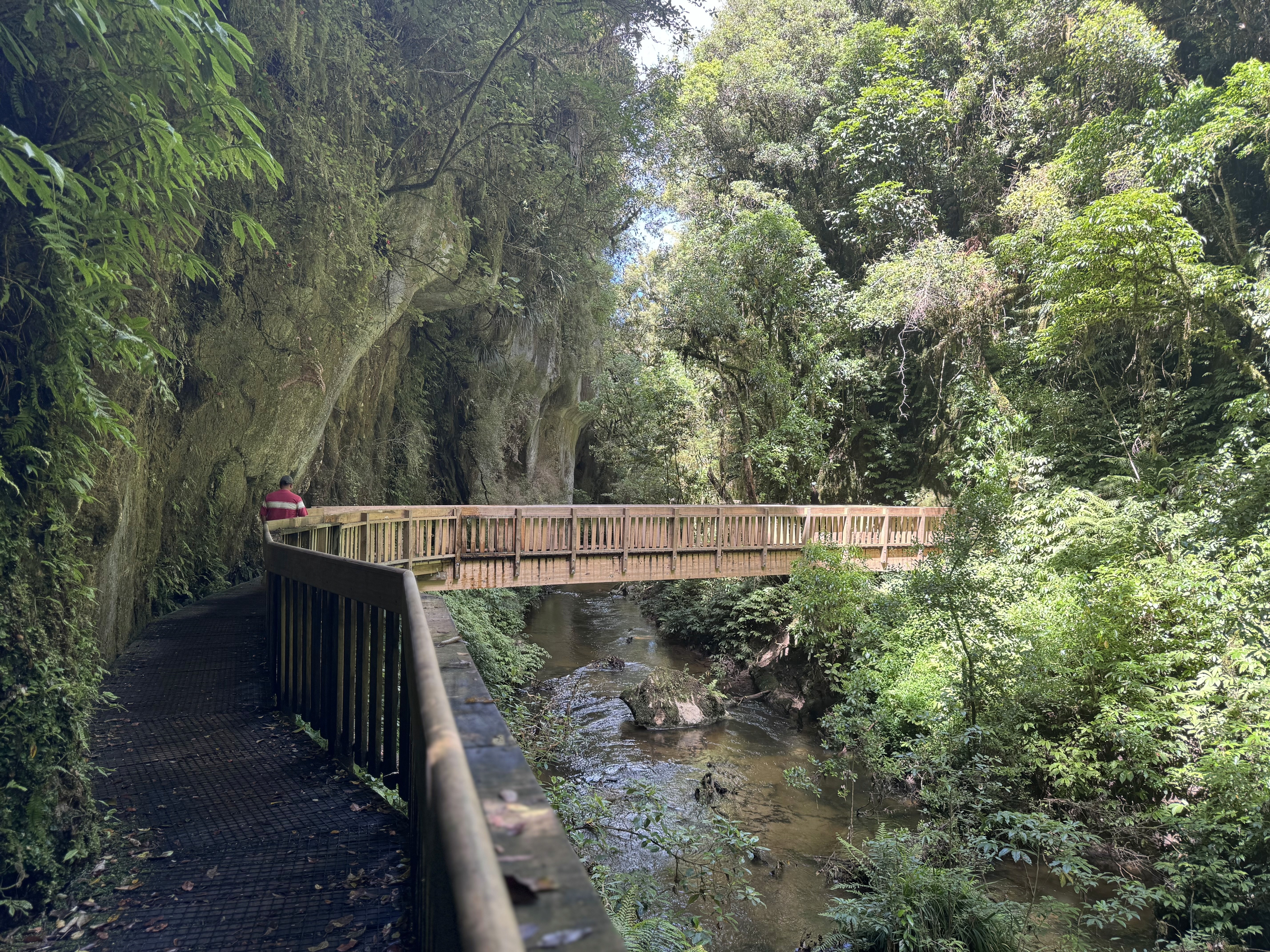 The boardwalk along the Mangapohue stream leading to the Mangapohue Natural Bridge