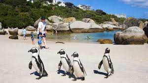 Destination Slider Image