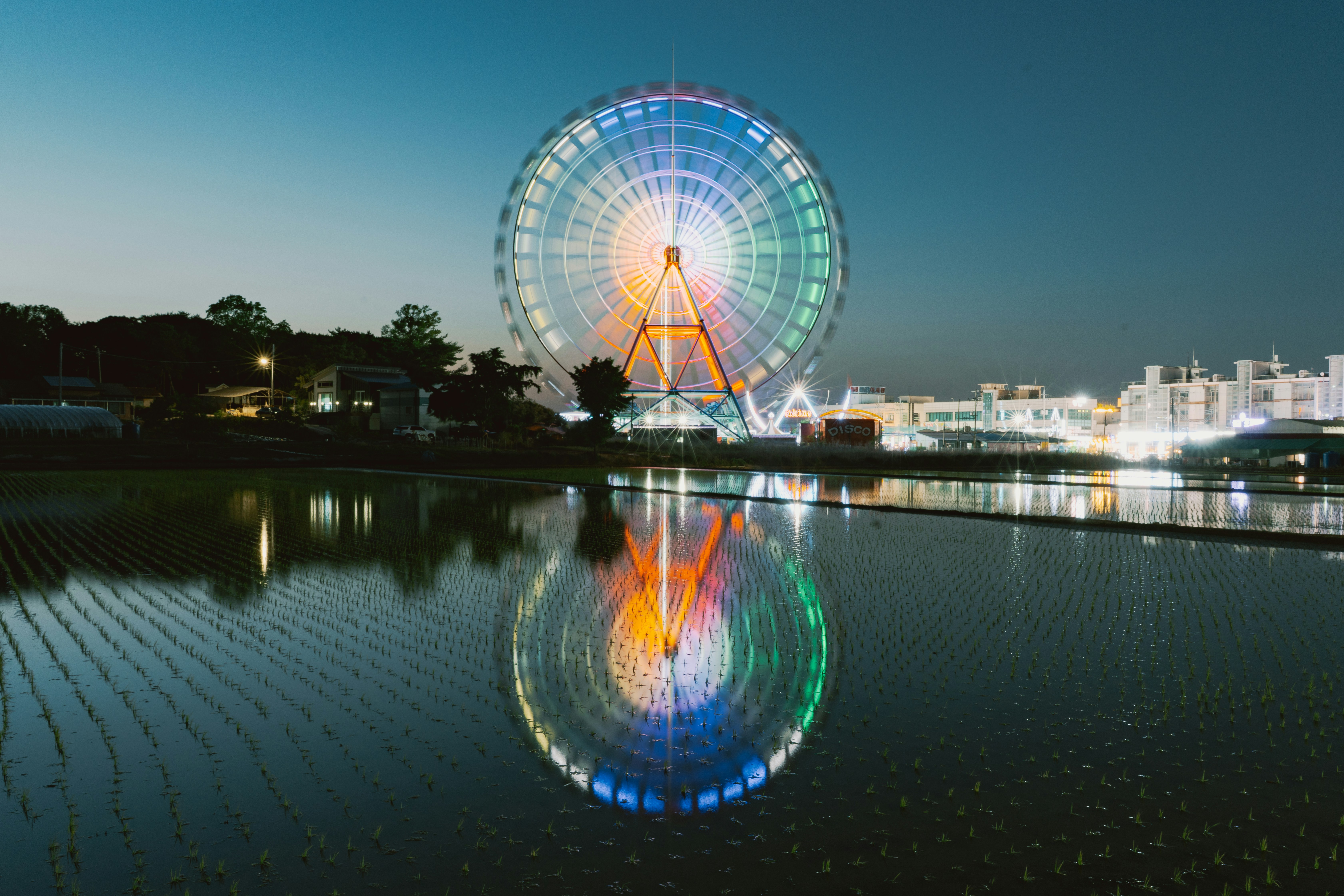 Colorful ferris wheel illuminated at night reflected in water.