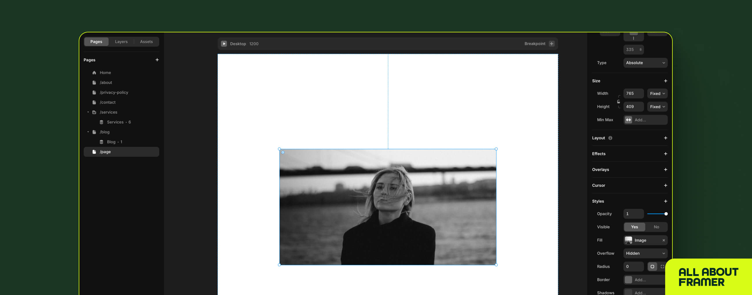 Adding an image in Framer