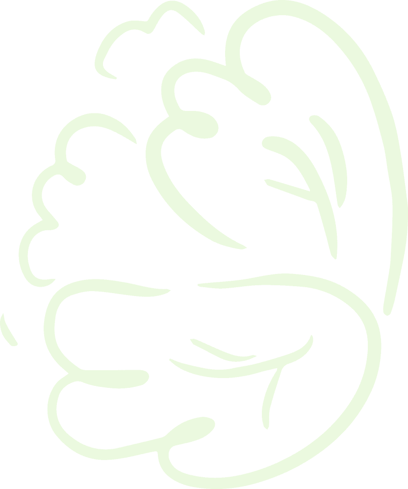 Vegetable Image
