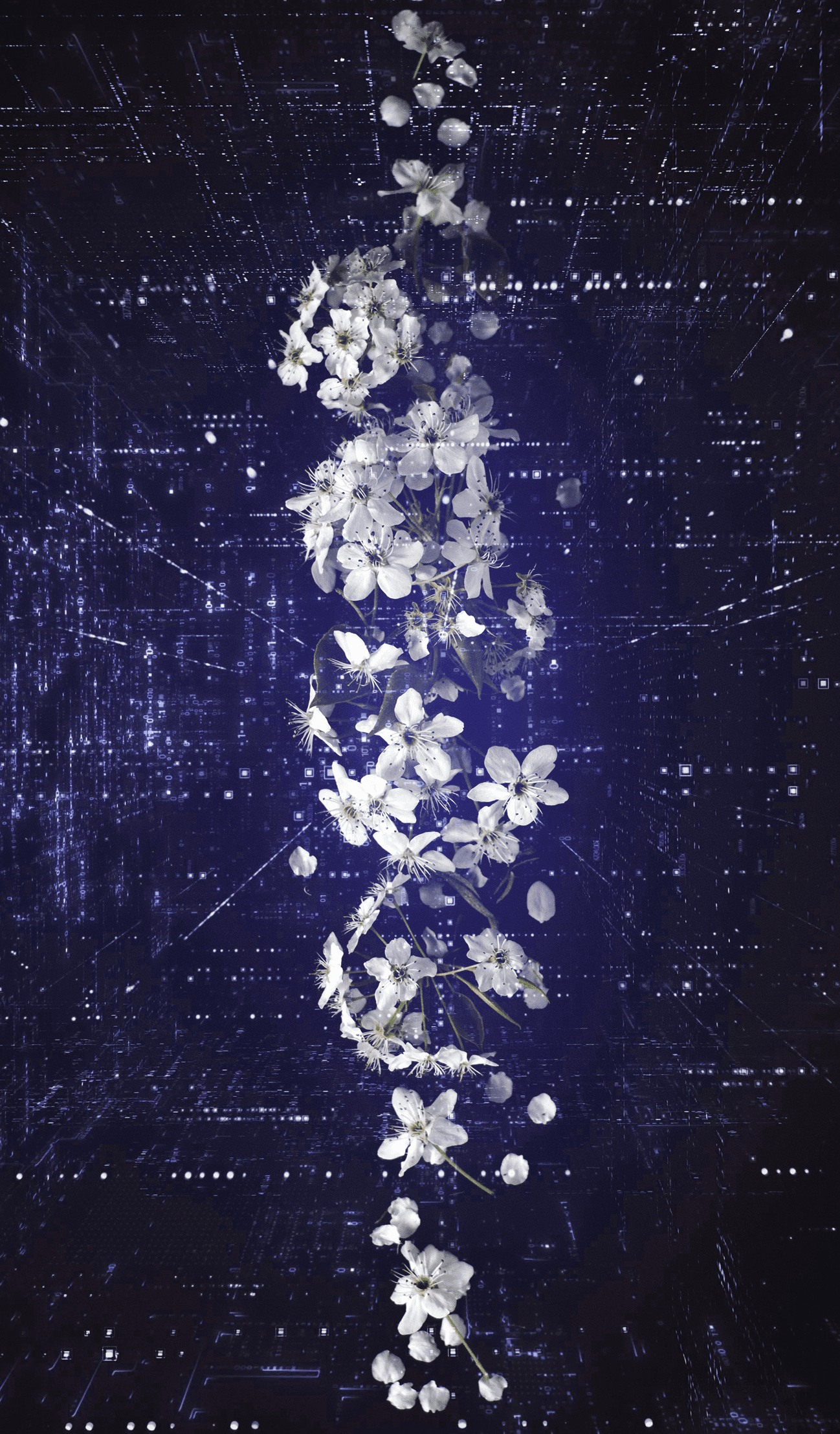 Close-up portrait of a person wearing a gray insulated hooded jacket with the hood up, showing their face framed by the hood against a light background.