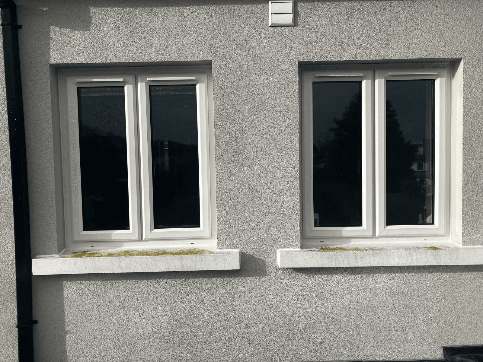 Moss growing on passive cills within just a few years. The rough concrete surface traps moisture and encourages biological growth on these homes in Ireland.
