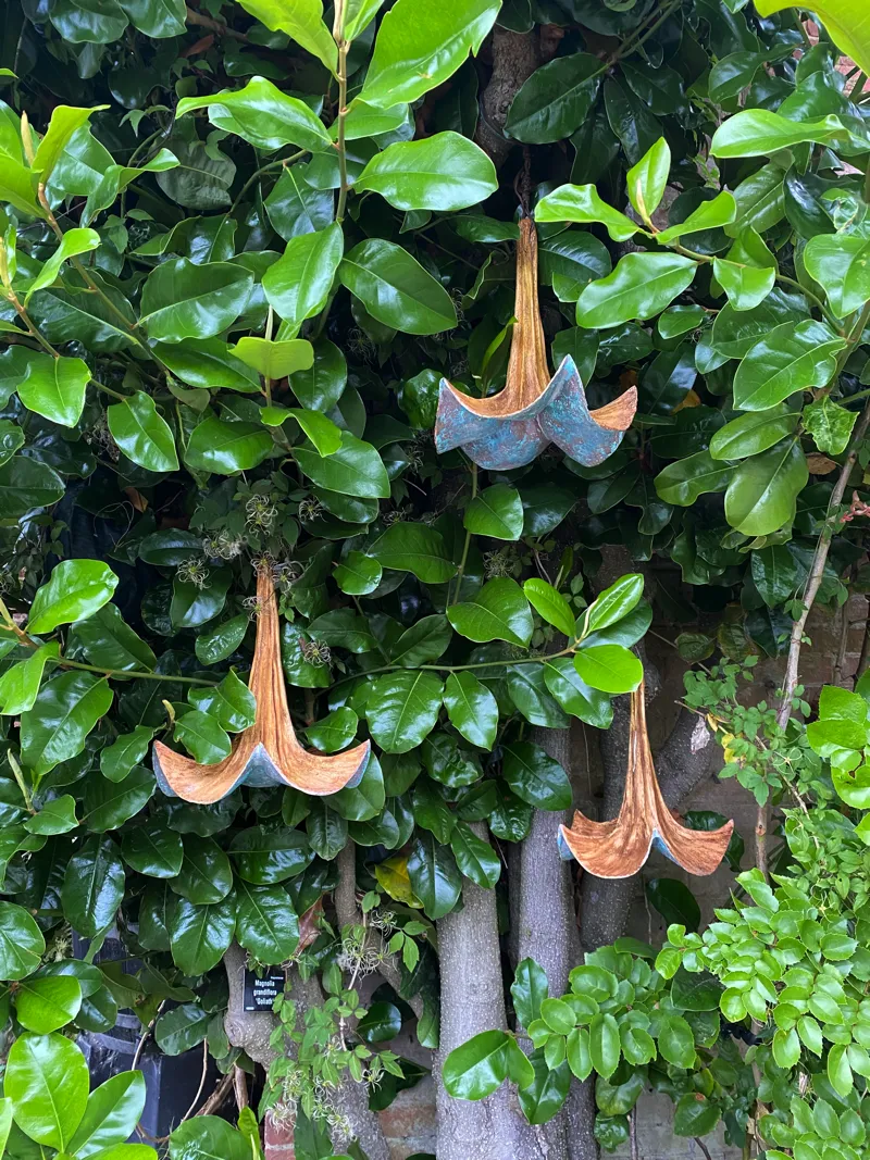 trumpet flowers hanging in tree by Abby Martin