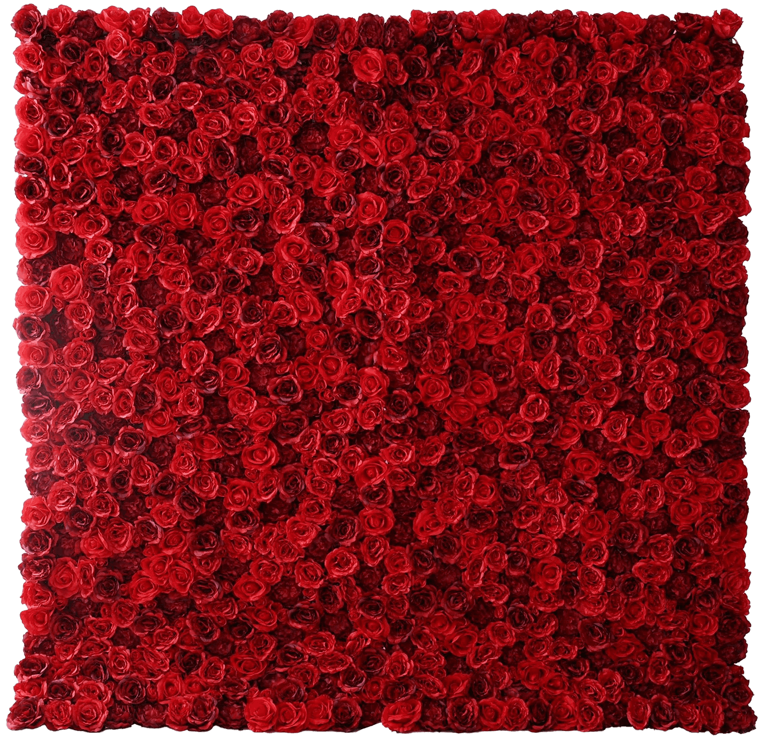 A standing flower wall made of several red roses of varying shades.