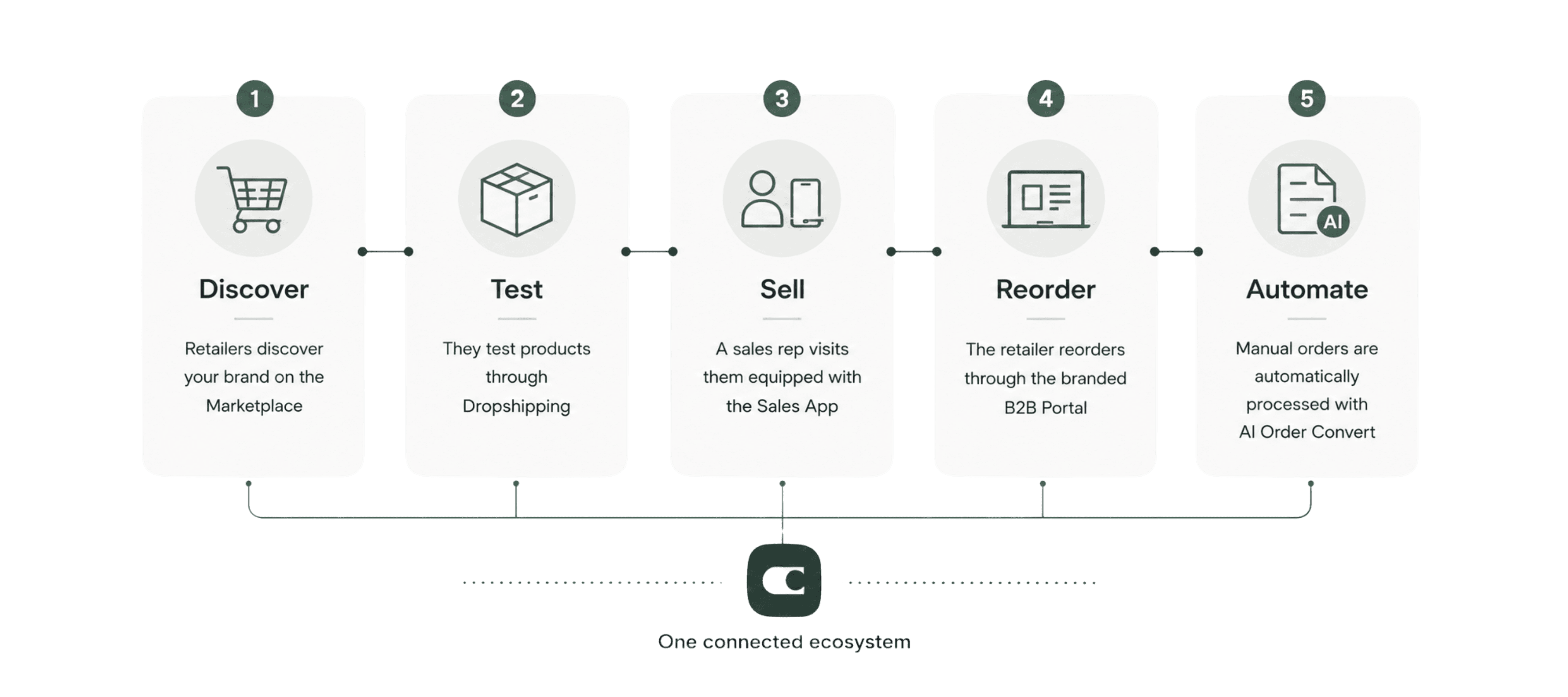 Orderchamp ecosystem illustrating the B2B sales journey from discovery and dropshipping to selling, reordering, and order automation