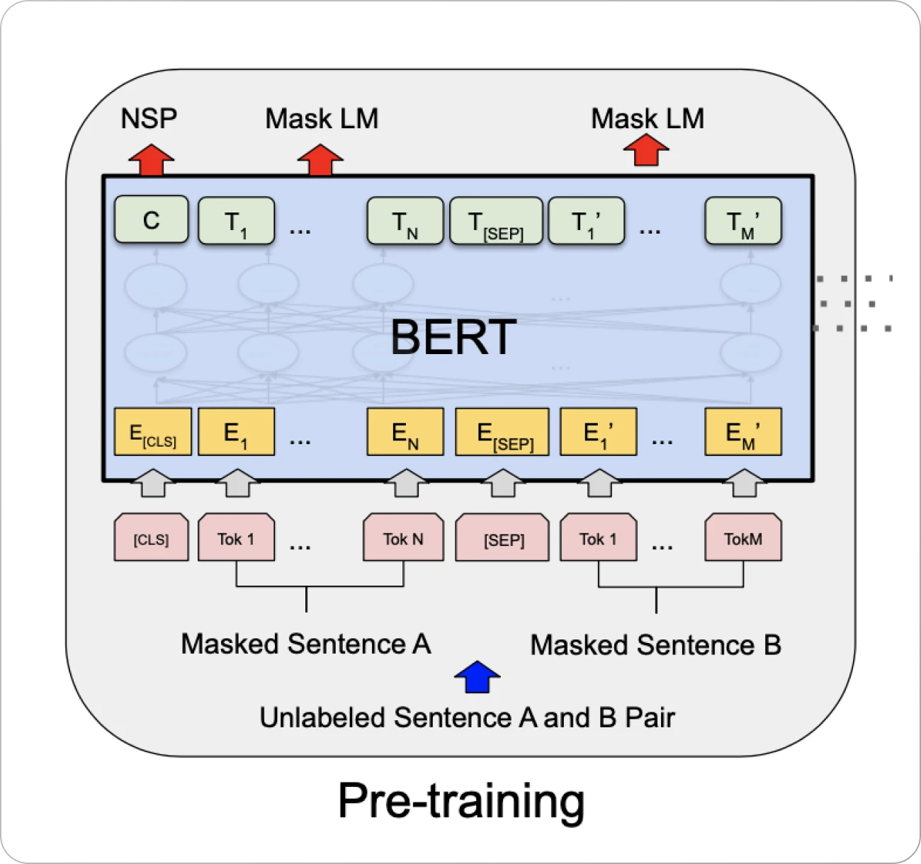 BERT Architecture