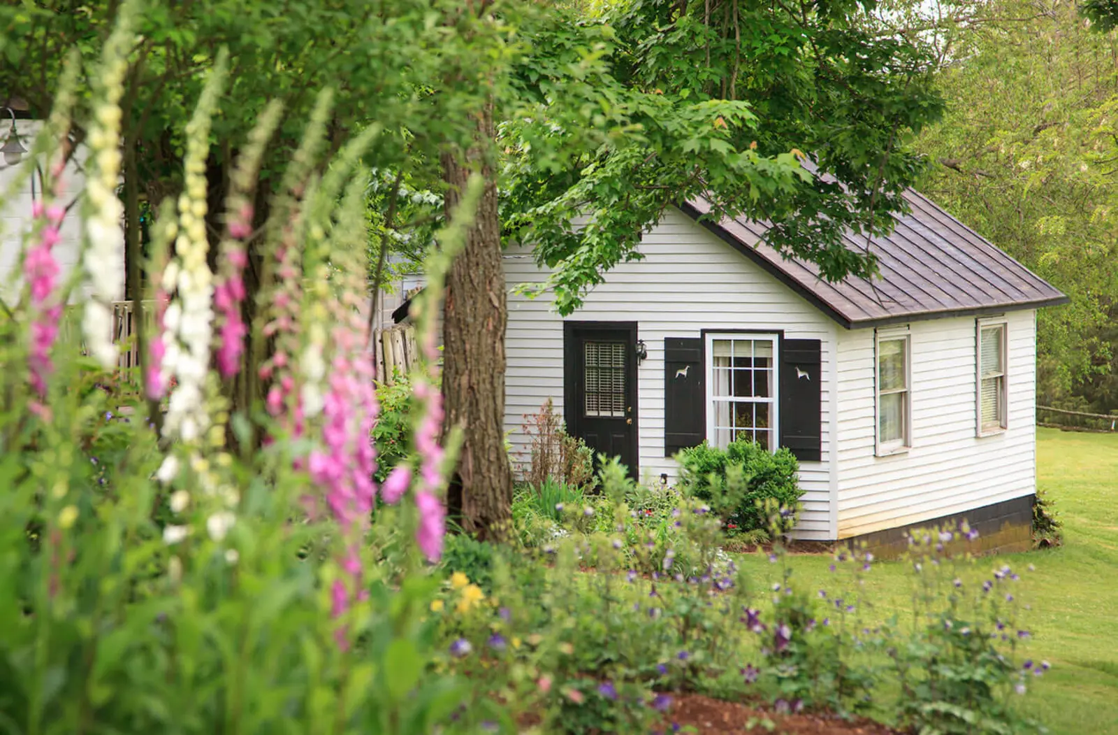 The Estate at Meander