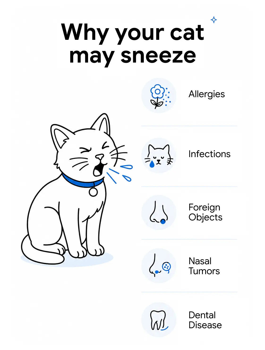 An infographic showing the reasons why your cat may sneeze.