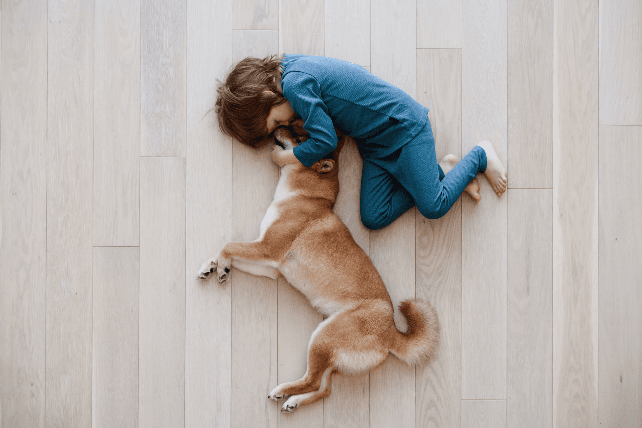 A young child cuddling with a dog on light wood-look hybrid flooring, showcasing LUXO Floors’ scratch-resistant, pet-friendly, and family-safe hybrid floors perfect for modern Australian homes.
