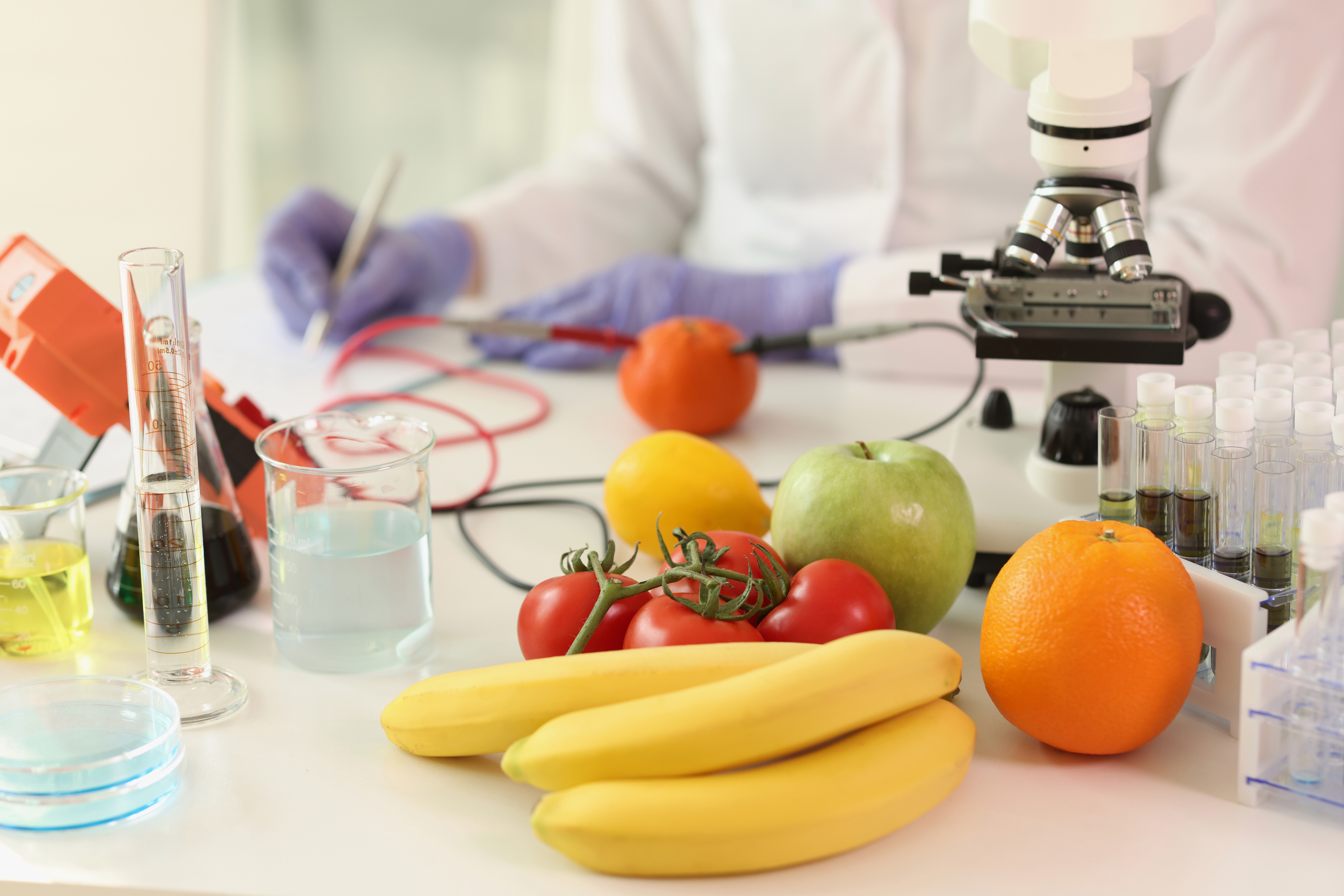Scienze dell’Alimentazione
