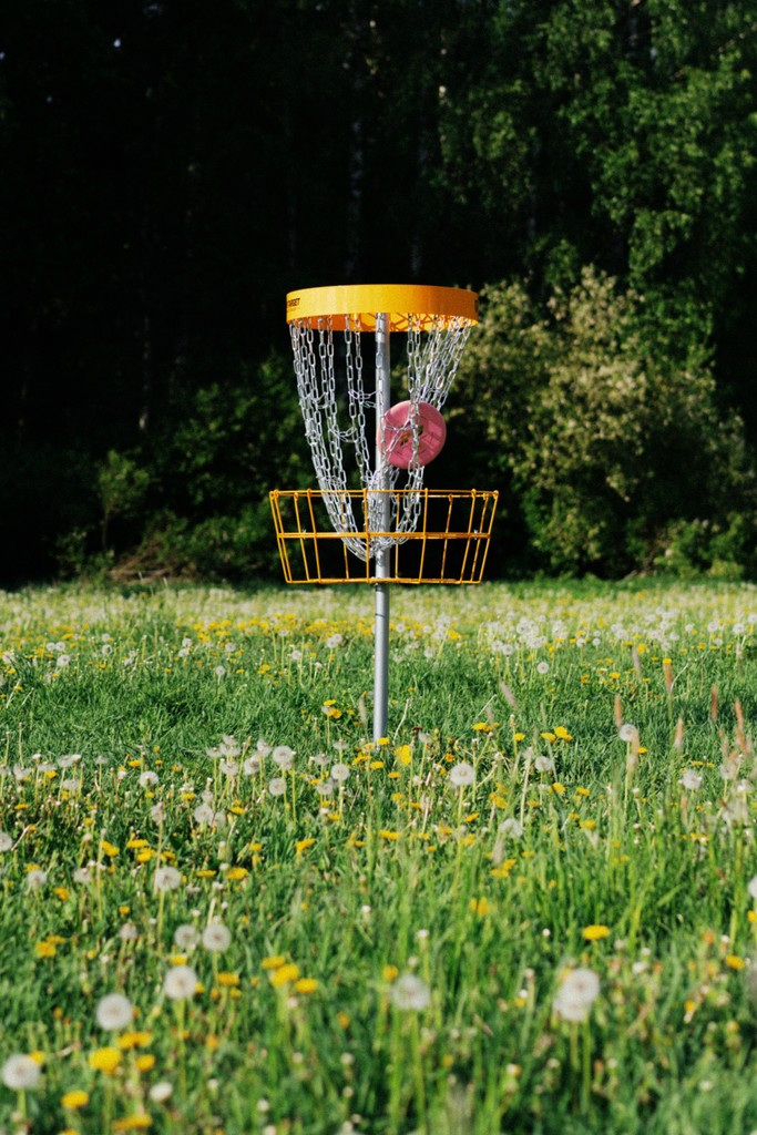 Disc hitting the chains of a disc golf basket in a summery meadow