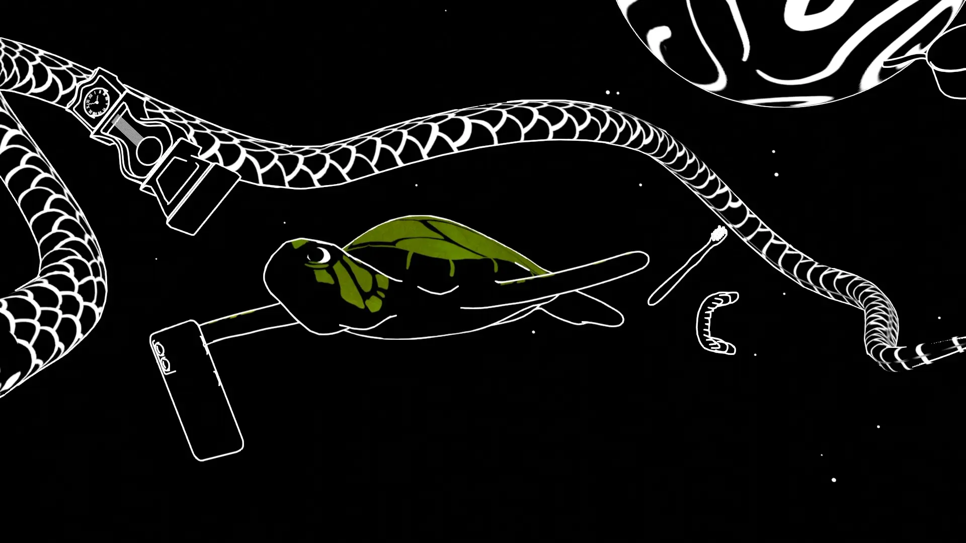 3D turtle animation movie