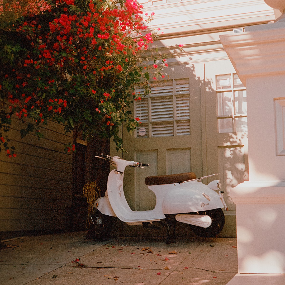 Example of a photo from JPG Journal Instagram account, showing motorcicle, flowers, and San Francisco building.