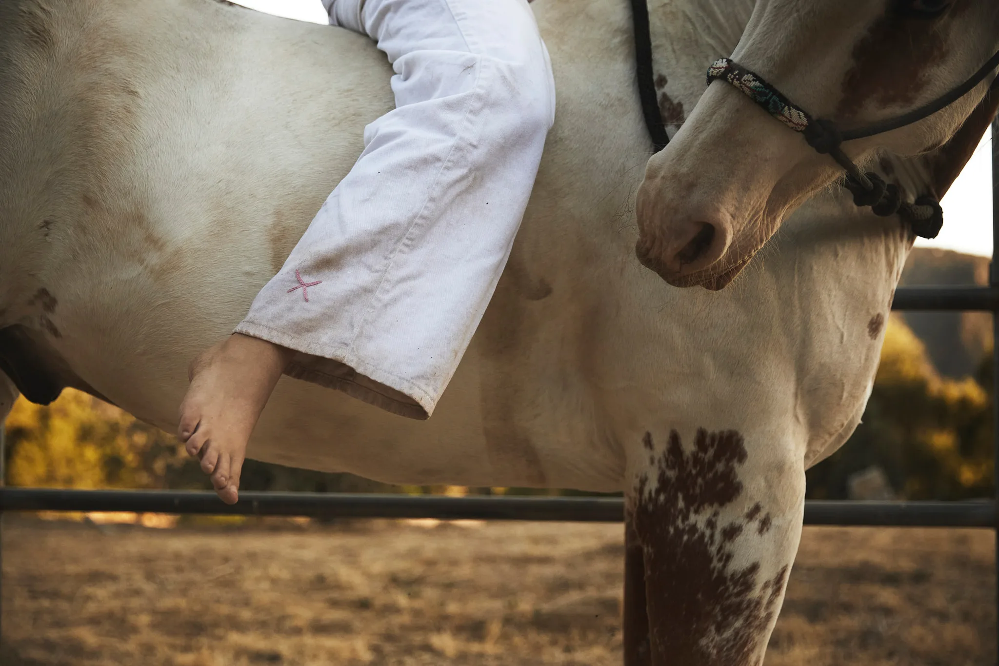 bare foot draped over spotted horse — Alex Saidac photography by Tom Kubik