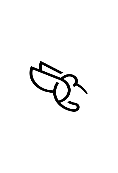 Colibri-nasstar