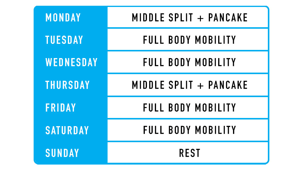 schedule - Flexibility Goals Examples