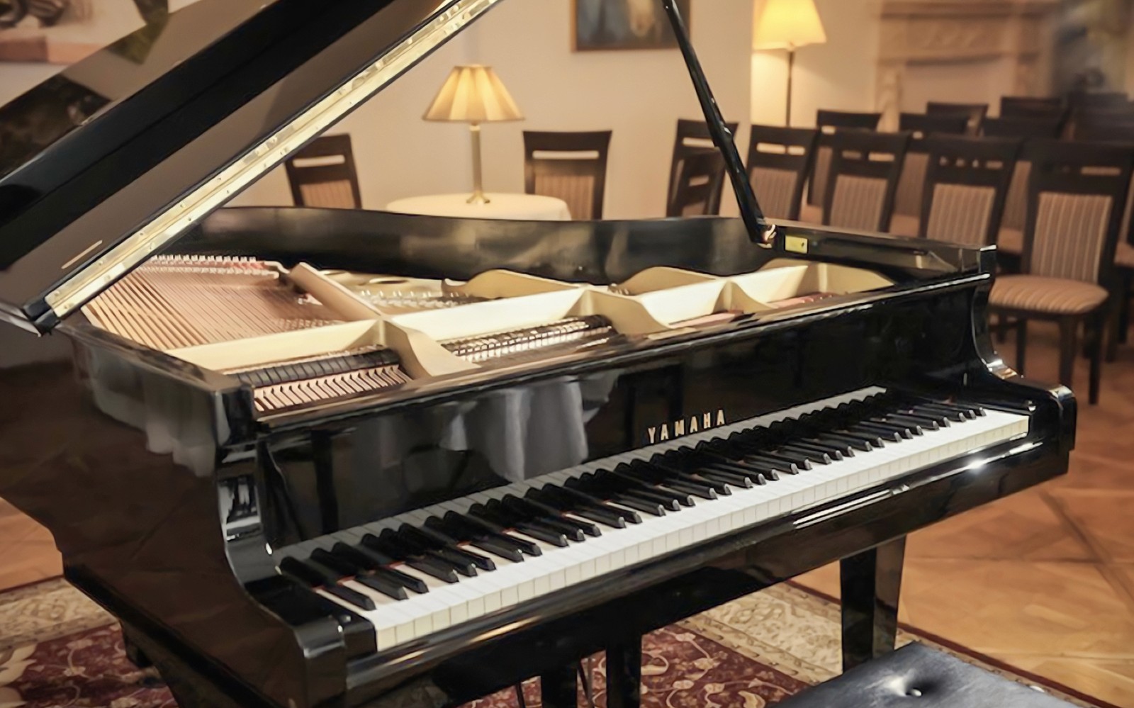 音乐会大厅中的三角钢琴：肖邦钢琴音乐之夜。